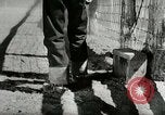 Standbild Roundup der wilden Pferde United States USA, 1943, aus Sekunde 30 historischem Filmmaterial Videoclip 65675032777