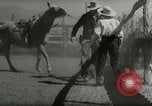 Standbild Roundup der wilden Pferde United States USA, 1943, aus Sekunde 34 historischem Filmmaterial Videoclip 65675032777