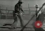 Standbild Roundup der wilden Pferde United States USA, 1943, aus Sekunde 35 historischem Filmmaterial Videoclip 65675032777