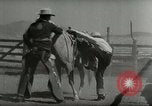 Standbild Roundup der wilden Pferde United States USA, 1943, aus Sekunde 37 historischem Filmmaterial Videoclip 65675032777