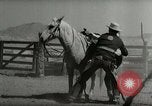 Standbild Roundup der wilden Pferde United States USA, 1943, aus Sekunde 38 historischem Filmmaterial Videoclip 65675032777