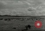 Standbild Roundup der wilden Pferde United States USA, 1943, aus Sekunde 42 historischem Filmmaterial Videoclip 65675032777
