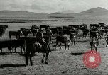 Standbild Roundup der wilden Pferde United States USA, 1943, aus Sekunde 46 historischem Filmmaterial Videoclip 65675032777