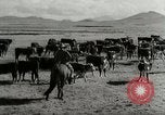 Standbild Roundup der wilden Pferde United States USA, 1943, aus Sekunde 47 historischem Filmmaterial Videoclip 65675032777