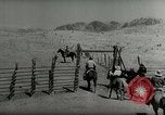 Standbild Roundup der wilden Pferde United States USA, 1943, aus Sekunde 49 historischem Filmmaterial Videoclip 65675032777