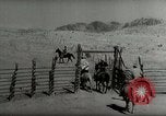 Standbild Roundup der wilden Pferde United States USA, 1943, aus Sekunde 50 historischem Filmmaterial Videoclip 65675032777