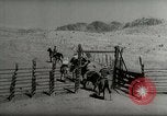 Standbild Roundup der wilden Pferde United States USA, 1943, aus Sekunde 51 historischem Filmmaterial Videoclip 65675032777