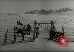 Standbild Roundup der wilden Pferde United States USA, 1943, aus Sekunde 52 historischem Filmmaterial Videoclip 65675032777