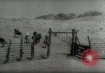 Standbild Roundup der wilden Pferde United States USA, 1943, aus Sekunde 53 historischem Filmmaterial Videoclip 65675032777