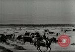 Standbild Roundup der wilden Pferde United States USA, 1943, aus Sekunde 56 historischem Filmmaterial Videoclip 65675032777