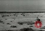Standbild Roundup der wilden Pferde United States USA, 1943, aus Sekunde 58 historischem Filmmaterial Videoclip 65675032777