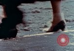 Immagine di Anni Cinquanta mode United States USA, 1958, secondo 33 filmato di repertorio 65675032778