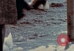 Immagine di Anni Cinquanta mode United States USA, 1958, secondo 34 filmato di repertorio 65675032778