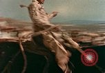 Standbild Rodeo United States USA, 1958, aus Sekunde 19 historischem Filmmaterial Videoclip 65675032784