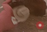 Standbild Rodeo United States USA, 1958, aus Sekunde 61 historischem Filmmaterial Videoclip 65675032784