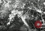 Standbild American Family Thanksgiving Abendessen vorbereiten United States USA, 1954, aus Sekunde 24 historischem Filmmaterial Videoclip 65675032785