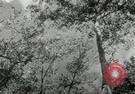 Standbild American Family Thanksgiving Abendessen vorbereiten United States USA, 1954, aus Sekunde 31 historischem Filmmaterial Videoclip 65675032785