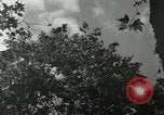 Standbild American Family Thanksgiving Abendessen vorbereiten United States USA, 1954, aus Sekunde 33 historischem Filmmaterial Videoclip 65675032785