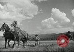 Standbild American colonial militia United States USA, 1954, aus Sekunde 10 historischem Filmmaterial Videoclip 65675032786