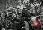 Standbild American colonial militia United States USA, 1954, aus Sekunde 12 historischem Filmmaterial Videoclip 65675032786