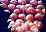 Standbild Verwendung der ersten digitalen Computer in Kunst und animation New Jersey USA, 1972, aus Sekunde 12 historischem Filmmaterial Videoclip 65675032792