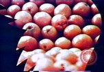 Standbild Verwendung der ersten digitalen Computer in Kunst und animation New Jersey USA, 1972, aus Sekunde 13 historischem Filmmaterial Videoclip 65675032792