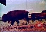 Standbild Verwendung der ersten digitalen Computer in Kunst und animation New Jersey USA, 1972, aus Sekunde 20 historischem Filmmaterial Videoclip 65675032792