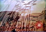 Standbild Verwendung der ersten digitalen Computer in Kunst und animation New Jersey USA, 1972, aus Sekunde 21 historischem Filmmaterial Videoclip 65675032792
