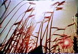 Standbild Verwendung der ersten digitalen Computer in Kunst und animation New Jersey USA, 1972, aus Sekunde 22 historischem Filmmaterial Videoclip 65675032792