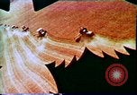 Standbild Verwendung der ersten digitalen Computer in Kunst und animation New Jersey USA, 1972, aus Sekunde 25 historischem Filmmaterial Videoclip 65675032792