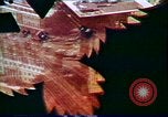 Standbild Verwendung der ersten digitalen Computer in Kunst und animation New Jersey USA, 1972, aus Sekunde 26 historischem Filmmaterial Videoclip 65675032792