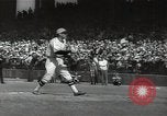 Standbild Robert Taylor in St Louis Cardinals baseball uniform California United States USA, 1932, aus Sekunde 45 historischem Filmmaterial Videoclip 65675032822