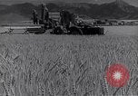 Standbild Menschen United States USA, 1943, aus Sekunde 23 historischem Filmmaterial Videoclip 65675032834