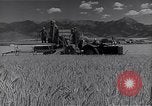 Standbild Menschen United States USA, 1943, aus Sekunde 24 historischem Filmmaterial Videoclip 65675032834