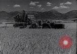 Standbild Menschen United States USA, 1943, aus Sekunde 26 historischem Filmmaterial Videoclip 65675032834
