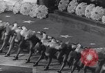 Standbild Menschen United States USA, 1943, aus Sekunde 53 historischem Filmmaterial Videoclip 65675032834