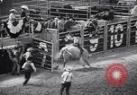 Image rodeo Houston Texas USA, 1966, de la seconde 18 séquences d'archives historiques vidéo 65675032846