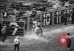 Image rodeo Houston Texas USA, 1966, de la seconde 19 séquences d'archives historiques vidéo 65675032846