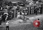 Image rodeo Houston Texas USA, 1966, de la seconde 20 séquences d'archives historiques vidéo 65675032846