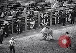 Image rodeo Houston Texas USA, 1966, de la seconde 21 séquences d'archives historiques vidéo 65675032846