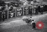 Image rodeo Houston Texas USA, 1966, de la seconde 22 séquences d'archives historiques vidéo 65675032846