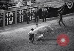 Image rodeo Houston Texas USA, 1966, de la seconde 23 séquences d'archives historiques vidéo 65675032846