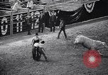 Image rodeo Houston Texas USA, 1966, de la seconde 24 séquences d'archives historiques vidéo 65675032846