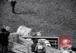 Image rodeo Houston Texas USA, 1966, de la seconde 28 séquences d'archives historiques vidéo 65675032846