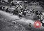 Image rodeo Houston Texas USA, 1966, de la seconde 34 séquences d'archives historiques vidéo 65675032846
