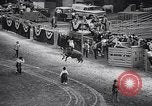 Image rodeo Houston Texas USA, 1966, de la seconde 35 séquences d'archives historiques vidéo 65675032846