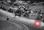 Image rodeo Houston Texas USA, 1966, de la seconde 39 séquences d'archives historiques vidéo 65675032846
