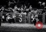 Image rodeo Houston Texas USA, 1966, de la seconde 42 séquences d'archives historiques vidéo 65675032846