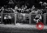 Image rodeo Houston Texas USA, 1966, de la seconde 43 séquences d'archives historiques vidéo 65675032846