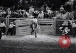 Image rodeo Houston Texas USA, 1966, de la seconde 44 séquences d'archives historiques vidéo 65675032846